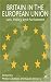 Book Britain in the European Union: Law, Policy and Parliament