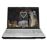 Toshiba Satellite P205-S7806 17" Laptop (Intel Pentium Dual Core T2330 Processor, 2GB RAM, 250 GB Hard Drive, Vista Premium)