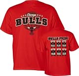  : Chicago Bulls Banner Pride T-Shirt