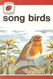 Song birds