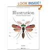 Illustration: A Theoretical and Contextual Perspective