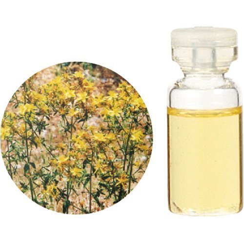 生活の木・Herbal Life レアバリューEO.・セントジョンズワート 1ml