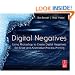 Digital Negatives: Using Photoshop to Create Digital Negatives for Silver and Alternative Process Printing