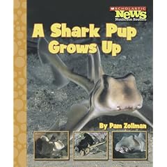 A Shark Pup Grows Up (Scholastic News Nonfiction Readers)