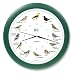 KooKoo - Die Singende Vogeluhr. Wanduhr Singvögel grün