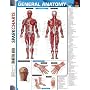 General Anatomy (SparkCharts)