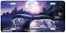 Ancient Mysteries - Whales - Wildlife Decor Art Print - License Plate Tag By Christia...