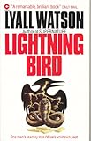 Lightning bird