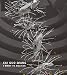 Books : Cai Guo-Qiang: I Want to Believe