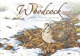 Woodcock and pin-feather painting
