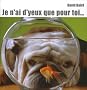 Je n'ai d'yeux que pour toi...