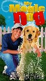 My Magic Dog