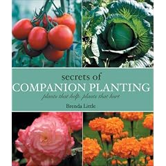 Secrets of Companion Planting: Plants That Help, Plants That Hurt