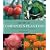 Secrets of Companion Planting: Plants That Help, Plants That Hurt