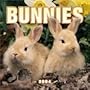 Bunnies 2004 Mini Calendar