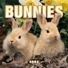 Bunnies Mini Wall Calendar: 2004