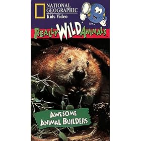 National Geographic's Really Wild Animals: Awesome Animal Builders [VHS]