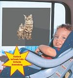 Produkt-Bild: Folie Sonnenblende Scheibenschutz, Motiv: Katzen, 335 x 490 mm