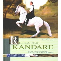 Reiten auf Kandare