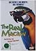 Search : The Real Macaw [ NON-USA FORMAT, PAL, Reg.4 Import - New Zealand ]