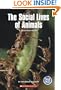 The Social Lives of Animals: A Chapter Book (True Tales: Animals)
