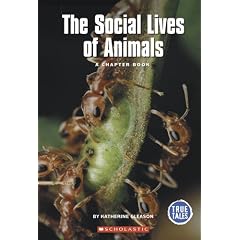 The Social Lives of Animals: A Chapter Book (True Tales: Animals)