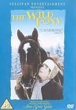 The Wild Pony [1983] [DVD]