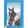 The Wild Pony [1983]