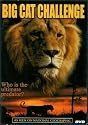 Big Cat Challenge