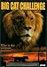 Big Cat Challenge