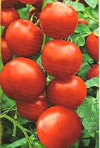 Complete Tomato Garden:Seeds, Peat Pots, Gardening Grid, Complete Instructions, and Garden Markers; 7 Varieties, 10 Seeds/Packet Say Goodbye to Flavorless Grocery Store Varieties; This collection Includes a Tomato for Every Purpose-Slicing, Sauces, Salads, & Cherry; Makes a Great Fathers Day Gift; Can be Grown in Containers or Directly in the Ground
