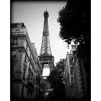Eiffel Tower Paris France Black and White Print PRBW1990 16x20