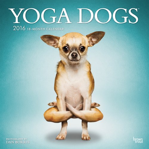 Yoga Dogs 2016 Square 12x12