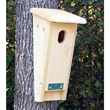 Coveside Peterson Styled Slant-Front Bluebird House