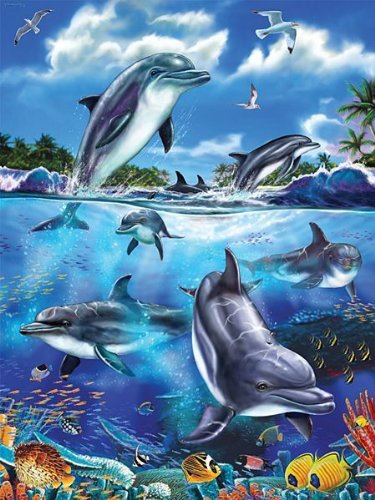 519EuAnNuWL Dolphin Family Jigsaw Puzzle 100pc