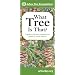 What Tree Is That?: A Guide to the More Common Trees Found in North America