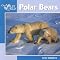 Gifts for Polar Bear lovers!