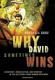Why David sometimes wins : leadership, organization, and strategy in the California farm worker movement