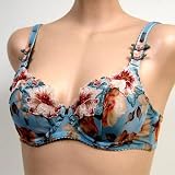 Orlfa : Orlfa $72 Sky Blue Sheer Mesh See Through Bra #0622
