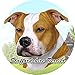 E&S Pets Staffordshire Terrier Coaster, 3