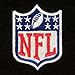 Winning Streak Pittsburgh Steelers Super Bowl XLIII Champions Commemorative Dynasty Banner