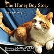 The Honey Boy Story