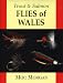 Trout and Salmon Flies of Wales