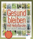Gesund bleiben mit Heilpflanzen