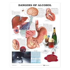 Alcoholism - Dangers of Alcohol Chart