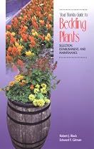 Your Florida Guide to Bedding Plants: Selection, Establishment, and Maintenance