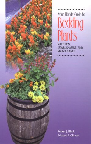 Your Florida Guide to Bedding Plants