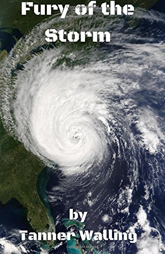 Fury of the Storm