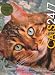 Cats 24/7: Extraordinary Photographs Of Wonderful Cats