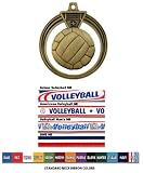 2.5 Eclipse Volleyball Medal Trophys Trophies FLAG RIBBON SILVER - 2.5